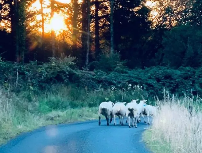 Carrowkeel Dom wakacyjny *